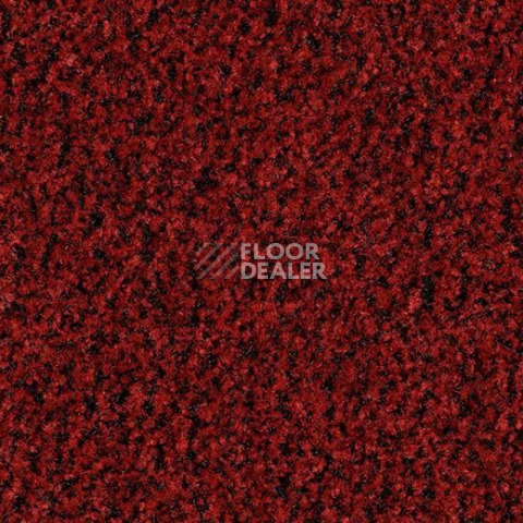 Грязезащитные покрытия Forbo Coral Brush 5723 Cardinal Red фото 1 | FLOORDEALER